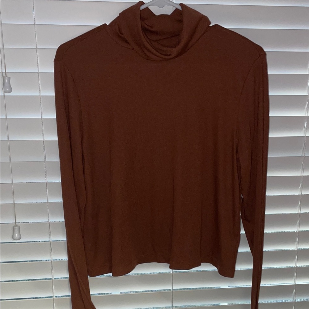 Brown Turtleneck Long Sleeve Top